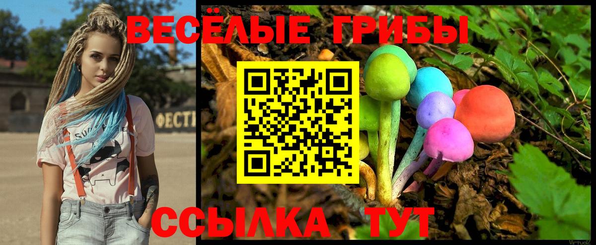 Псилоцибиновые грибы GOLDEN TEACHER Миллерово