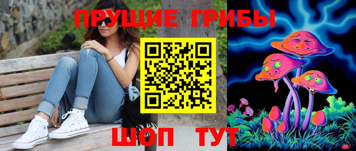 Псилоцибиновые грибы ЛСД  где можно купить наркотик  Псилоцибиновые грибы мухоморы  Миллерово  Вход с VPN 